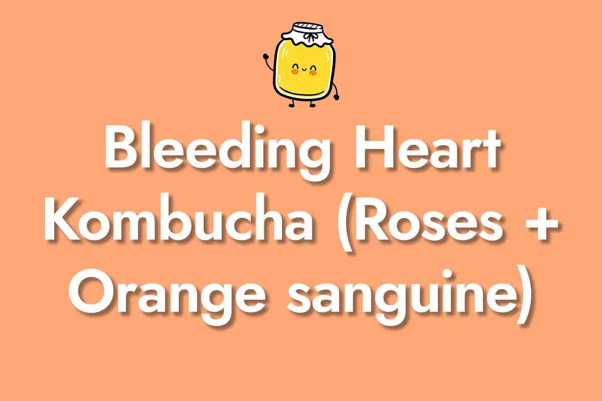 Bleeding Heart Kombucha (Roses + Orange sanguine)
