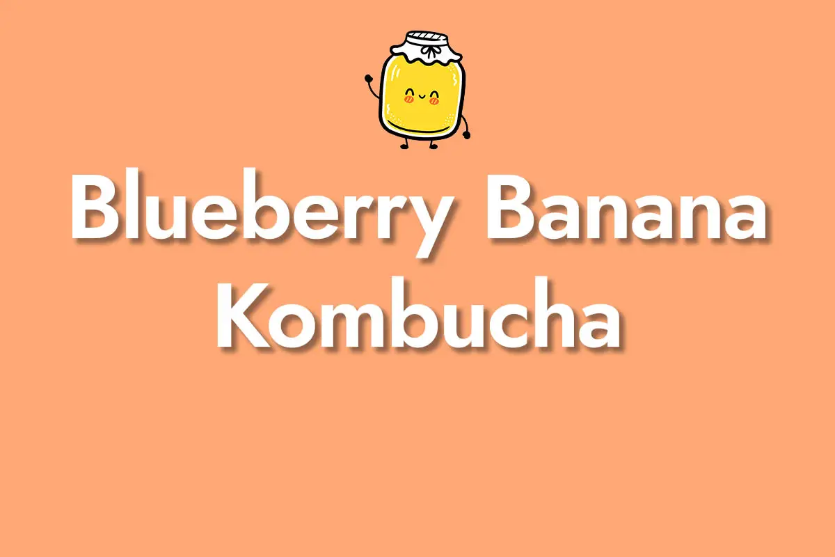 Blueberry Banana Kombucha
