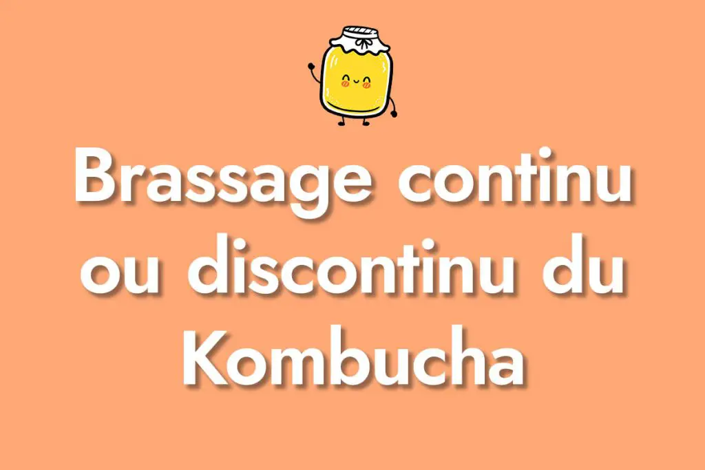 Brassage continu ou discontinu du Kombucha