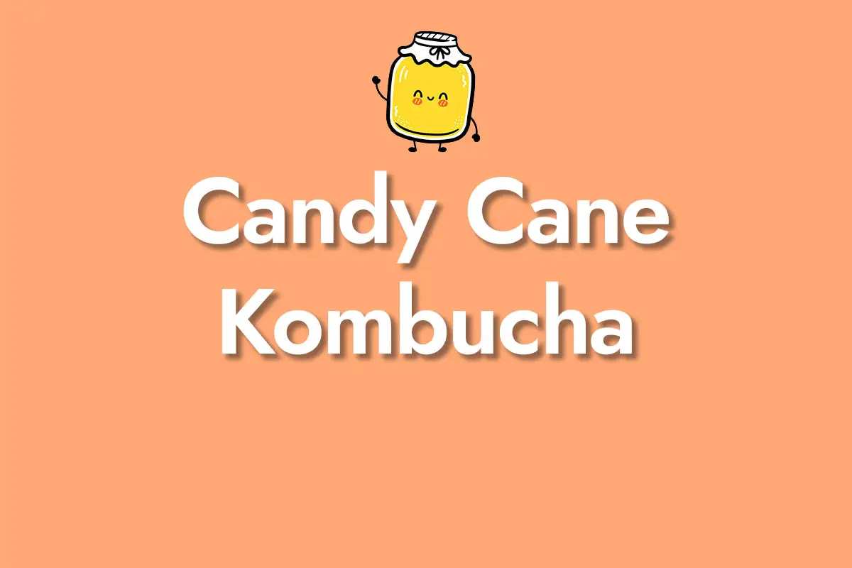 Candy Cane Kombucha