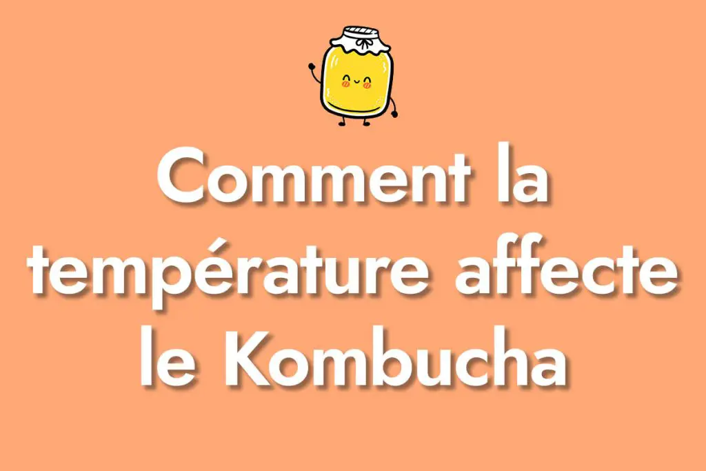 Comment la température affecte le Kombucha