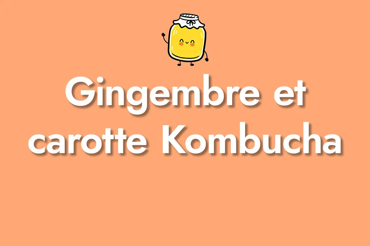 Gingembre et carotte Kombucha