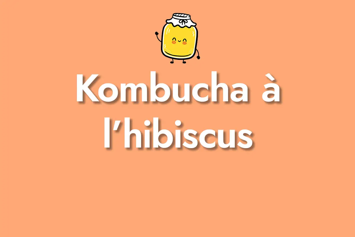 Kombucha à l'hibiscus