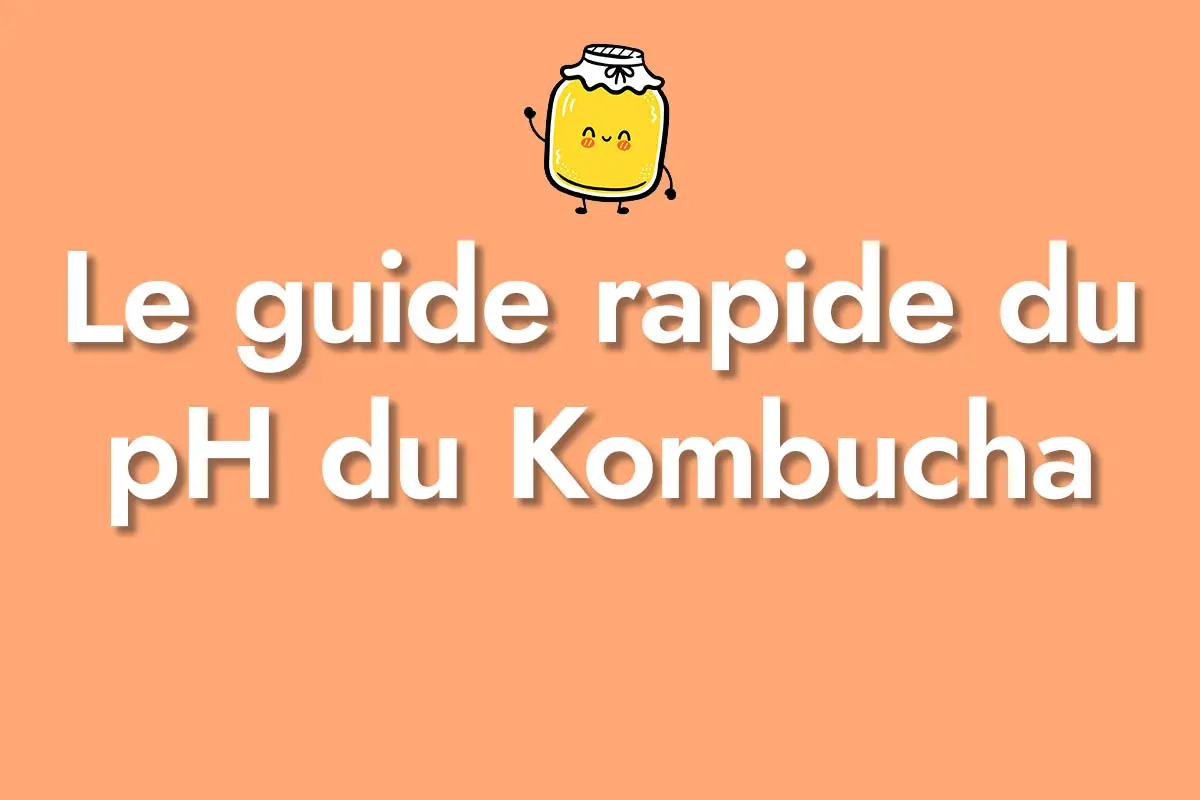 Le guide rapide du pH du Kombucha Kombucha ancestral