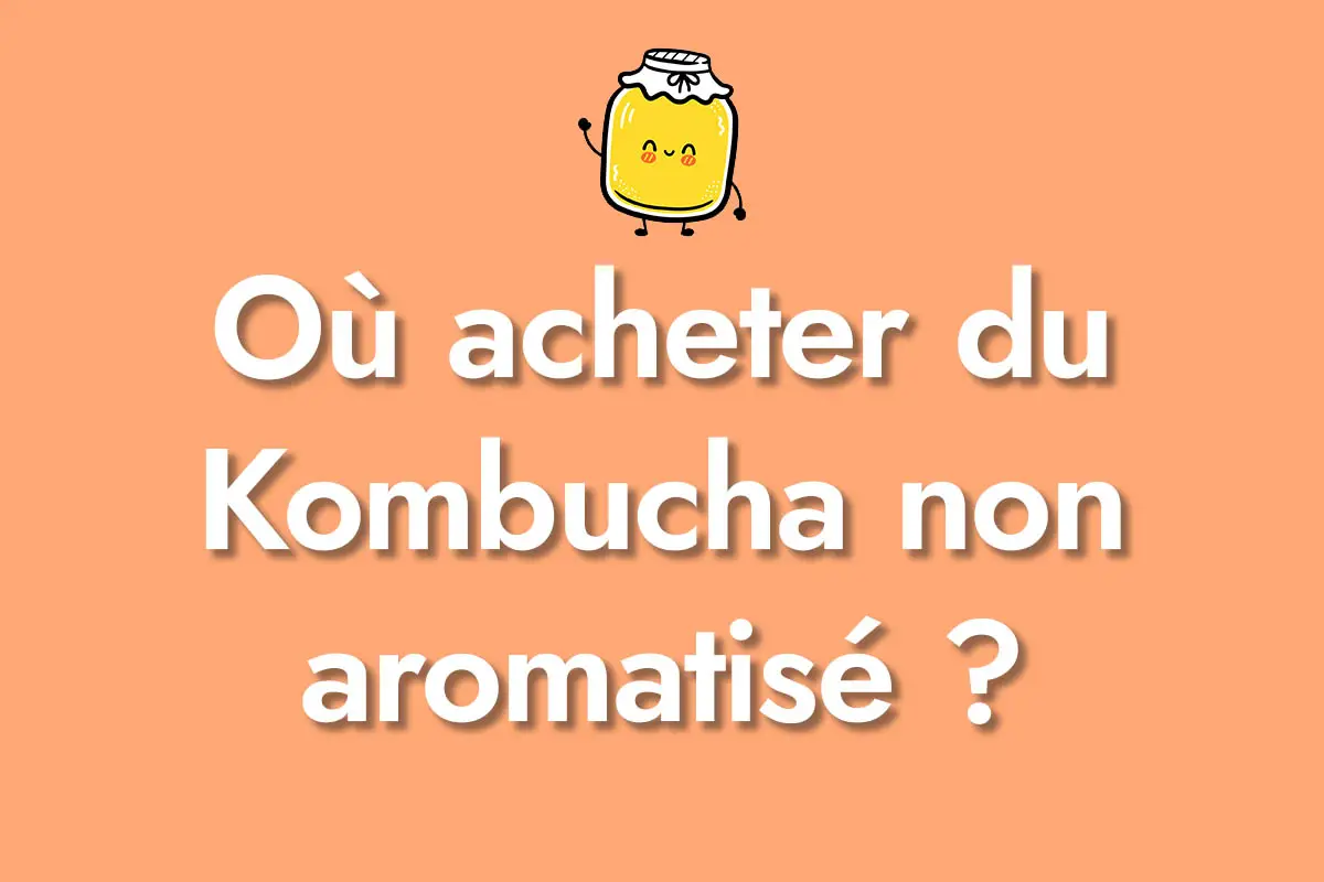 Où acheter du Kombucha non aromatisé ?