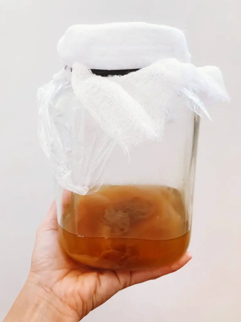 scoby